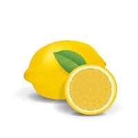 Lemon Healthy Organic Fresh Fruit Summer Isolated Vector Illustration
