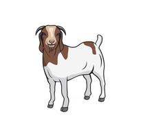Ilustración de diseño de cabra boer, adecuada para sus necesidades de diseño, camiseta, logotipo, ilustración, animación, etc. vector