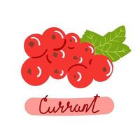 Hand drawn red currant. Berries concept. Flat illustration. vector