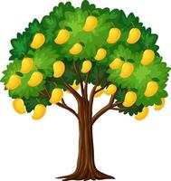 Yellow mango tree isolated on white background vector