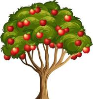 Manzanas rojas en un árbol aislado sobre fondo blanco. vector