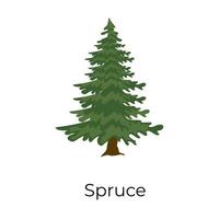 Spruce Tree style vector