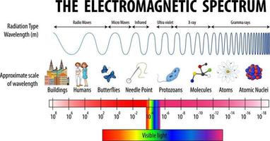 Science Electromagnetic Spectrum diagram vector