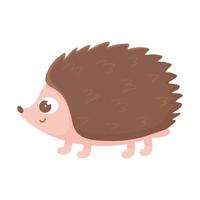 cute hedgehog cartoon animal icon white background vector