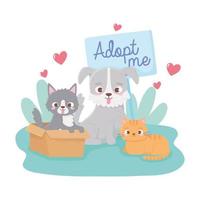 adopt a pet, cat in box little dog and kitten in the grass vector