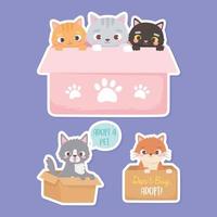 adopt a pet, stickers of cats and dogs in the cardboard boxes