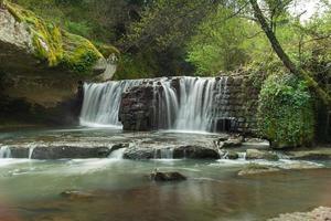 cascadas torrente de soriano chia viterbo foto