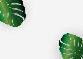 Monstera Palm leaves trendy background. Vector  illustration