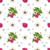 patrón transparente con frambuesas, flores y hojas. lindo estampado de bayas de verano o primavera con estrellas. linda decoración navideña para textiles, papel de regalo y diseño vector