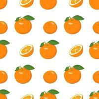 Seamless bright spring and summer pattern with oranges and slices on a white background. A set of citrus fruits for a healthy lifestyle vector