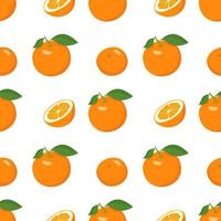 Seamless bright spring and summer pattern with oranges and slices on a white background. A set of citrus fruits for a healthy lifestyle vector