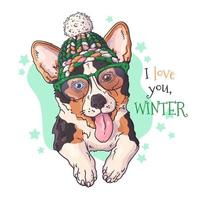 Retrato dibujado a mano de perro corgi en vector de accesorios de Navidad.