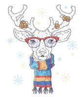 Hand drawn portrait of deer in Christmas accessories Vector. vector