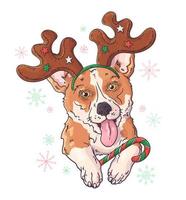 Hand drawn portrait of corgi dog in Christmas accessories Vector. vector