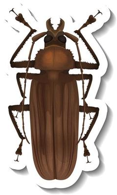 A sticker template with top view of a cockroach