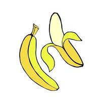 Two bananas isolated on a white background, tropical fruit, sweet ripe banana, vector illustration in doodle style, hand draw