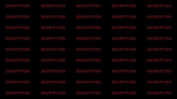 encryption wiggle effect text increase quality and cover on black screen, concept hacker data, steal data and money, encryption data video