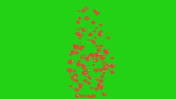 Hundert rote Herzen mit weißem Stern der Reflexionspartikel, der sich auf transparentem grünem Bildschirmhintergrund bewegt video
