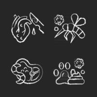 Biological waste chalk white icons set on black background. Animal waste that pollutes environment. Parasites spreading dangerous diseases and illnesses. Isolated vector chalkboard illustrations