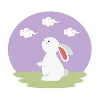 cute and little rabbit in the field character vector