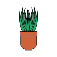 houseplant in pot natural icon vector