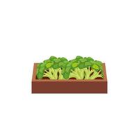 healthy vegetable in wooden box isolated icon vector