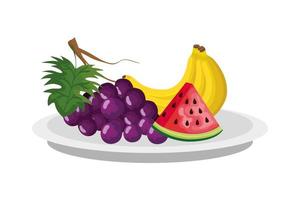 Plato aislado con diseño de vector de frutas