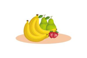 Osos plátanos aislados y diseño vectorial de fresas vector