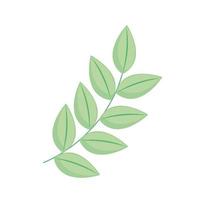 Plant leaves icon vector