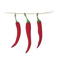 Vector image of a red chili pepper suspended to dry. Spicy seasoning.
