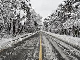 Snow-covered forest road in mountains. Seoraksan National Park. South Korea photo