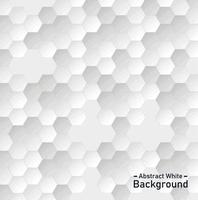 abstract background white vector