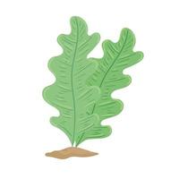 seaweed algae nature foliage sealife in sand vector