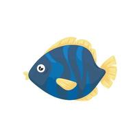 fish sealife animal vector