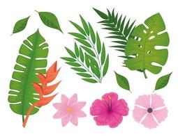 flowers and leafs vector