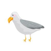 seagull marine animal vector