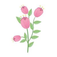 pink roses flowers and leafs spring icon vector