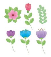 five flowers garden vector