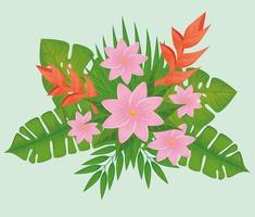 pink tropical flowers vector