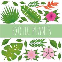 exotics plants pattern vector