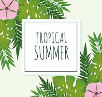 etiqueta de verano tropical vector