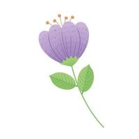 flower lilac color vector