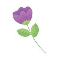 flower purple color vector