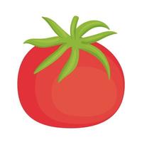 fresh tomato vegetable vector