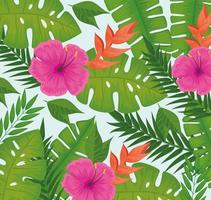 summer season pattern vector