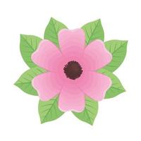 flor de color rosa vector
