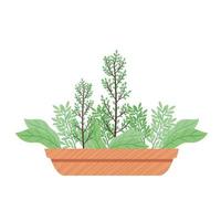 Planta de casa en maceta de cerámica amarilla con icono de temporada de primavera de forma cuadrada vector