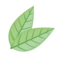 green leaf ecology nature icon vector