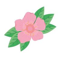 beauty pink flower and leafs spring season icon vector