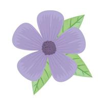 cute purple petals flower and leafs spring icon vector